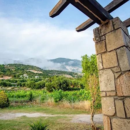 Dimitra Villa